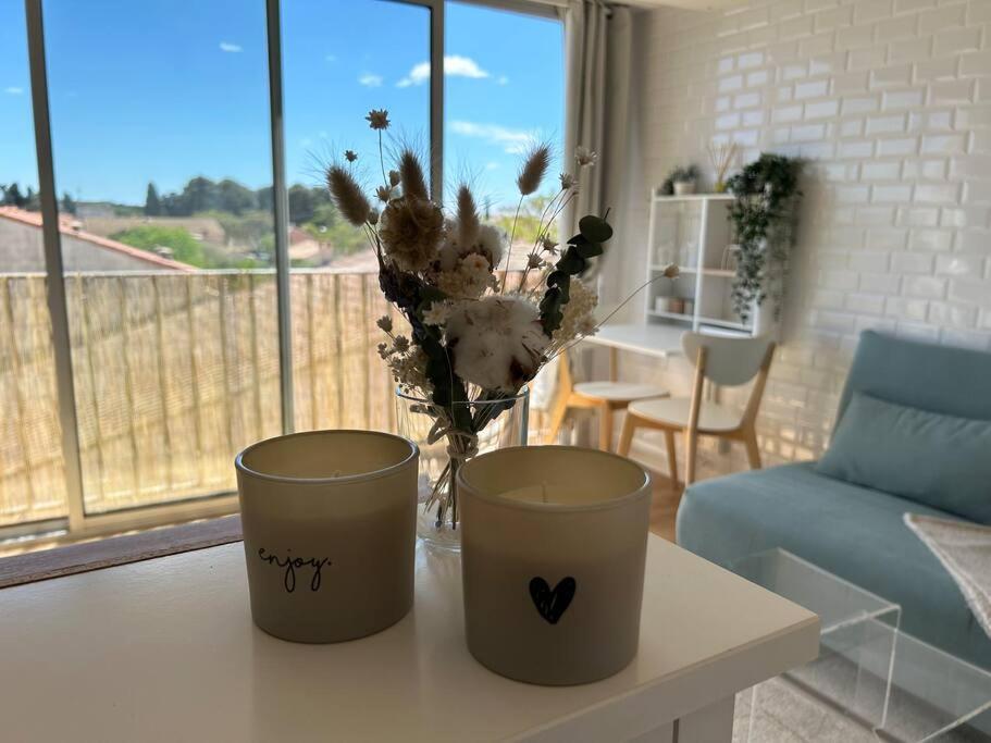 Superbe Appartement Renove Avec Cinema - Cap D'אגדה מראה חיצוני תמונה